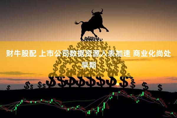 财牛股配 上市公司数据资源入表加速 商业化尚处早期
