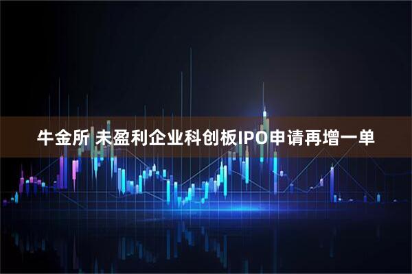 牛金所 未盈利企业科创板IPO申请再增一单