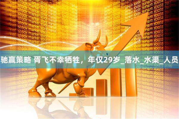 驰赢策略 胥飞不幸牺牲，年仅29岁_落水_水渠_人员