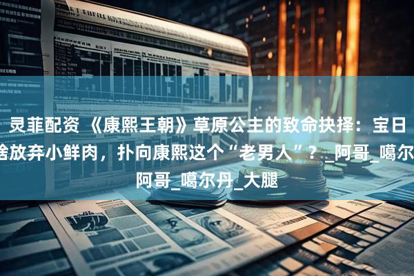 灵菲配资 《康熙王朝》草原公主的致命抉择：宝日龙梅为啥放弃小鲜肉，扑向康熙这个“老男人”？_阿哥_噶尔丹_大腿