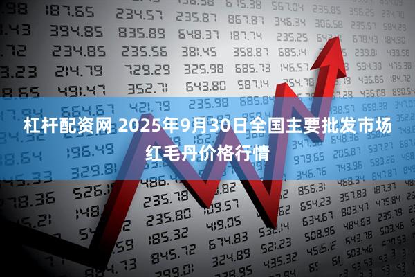 杠杆配资网 2025年9月30日全国主要批发市场红毛丹价格行情